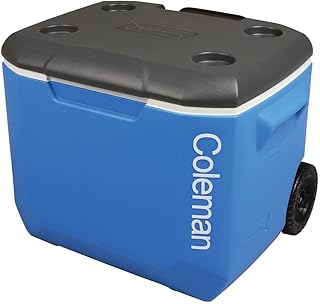 Coleman nevera portátil grande: análisis de la pasiva más valorada